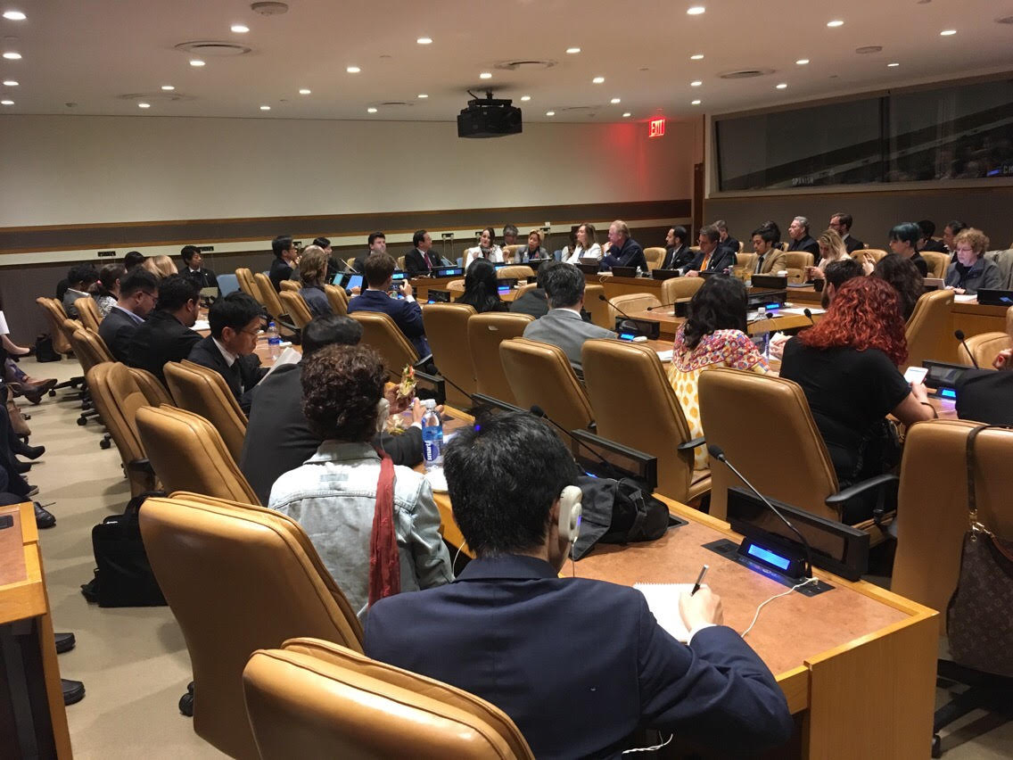 Dr Joseph Haldane at United Nations