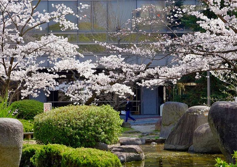 OU-Toyonaka-Library_Spring