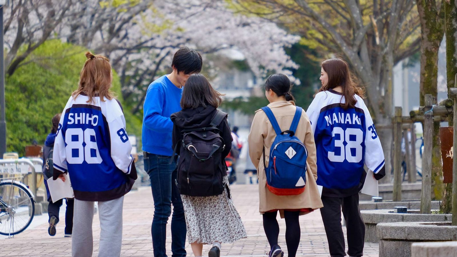 OSIPP-University-Toyonaka-Campus-spring