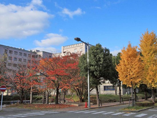 OSIPP-Osaka-University-Autumn