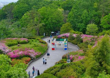 The Handai Slope at Ishibashi Entrance, Toyonaka Campus