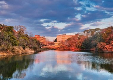 Nakayama Pond at dusk, Toyonaka Campus