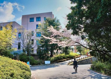 Osaka University Hall in the spring