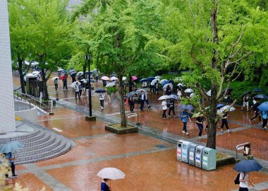 Rainy day on campus
