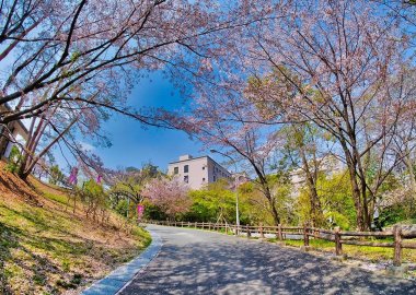 Rear view of OSIPP in springtime